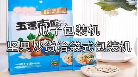 【休閑食品系列9】瓜子給袋式包裝機(jī)